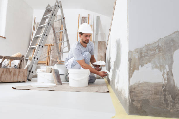 Best Drywall Sanding and Smoothing  in Fowlkes, TN